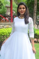 Anisha Ambrose Wet Dress Photos